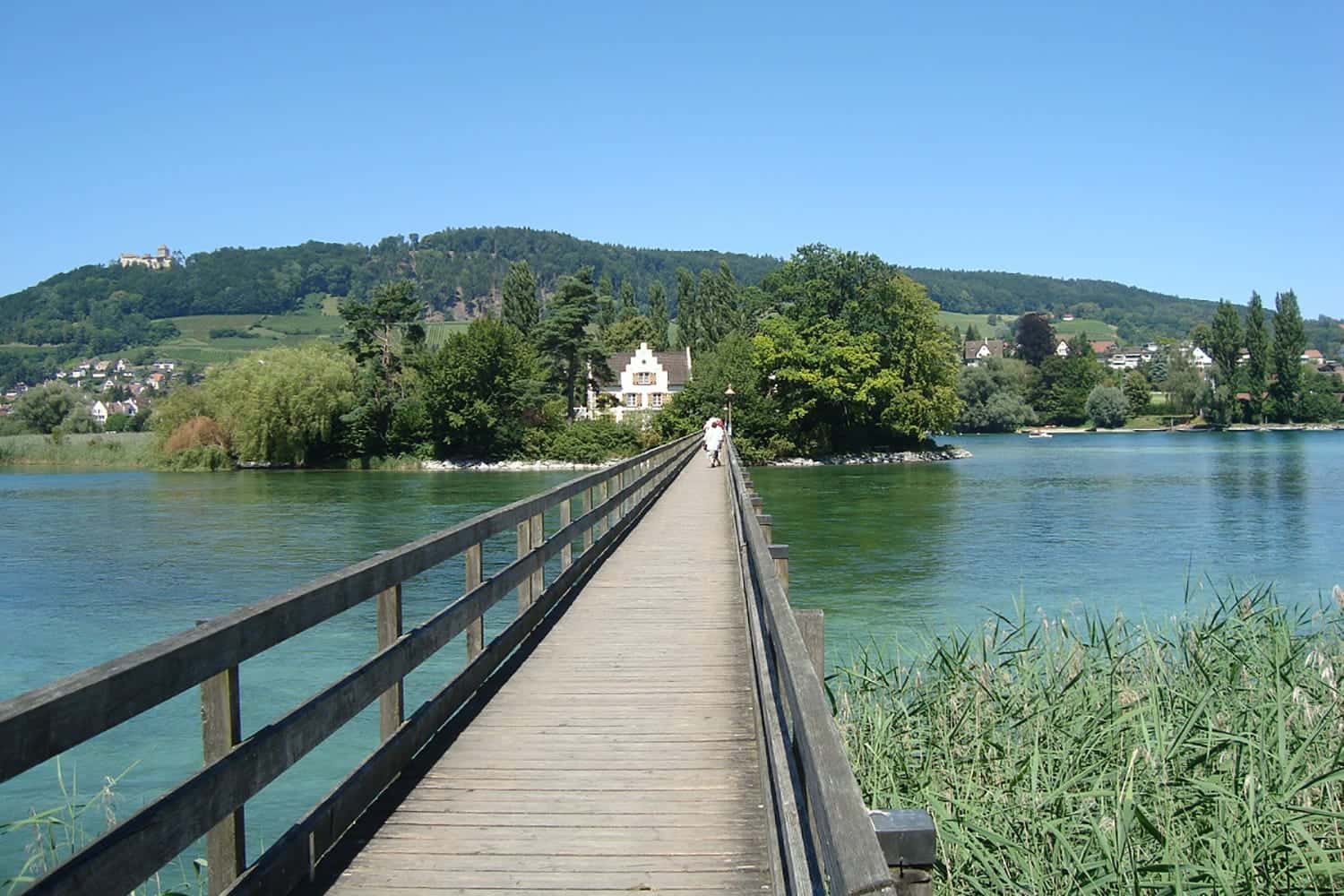 Hirschen Horn